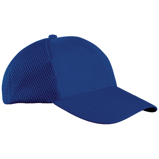 6 Panel Move Cap